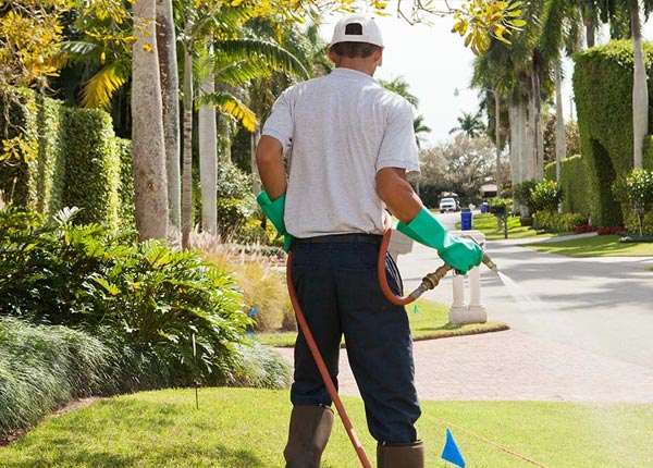 About Labadieville LA Pest Control